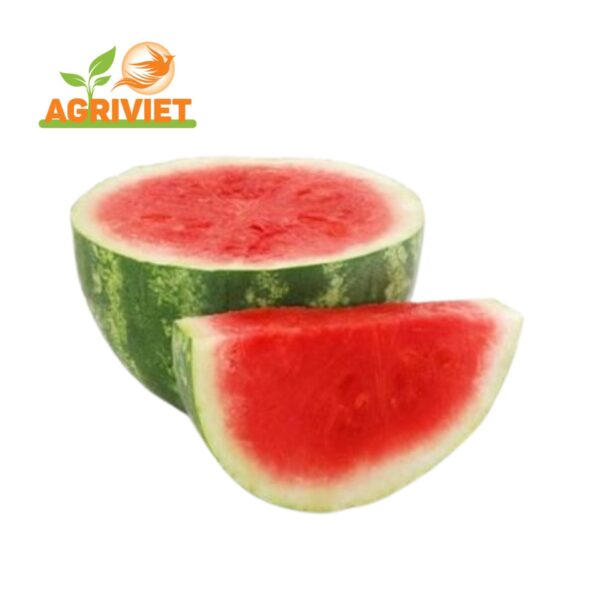 Dưa Hấu Ruột Đỏ Không Hạt
