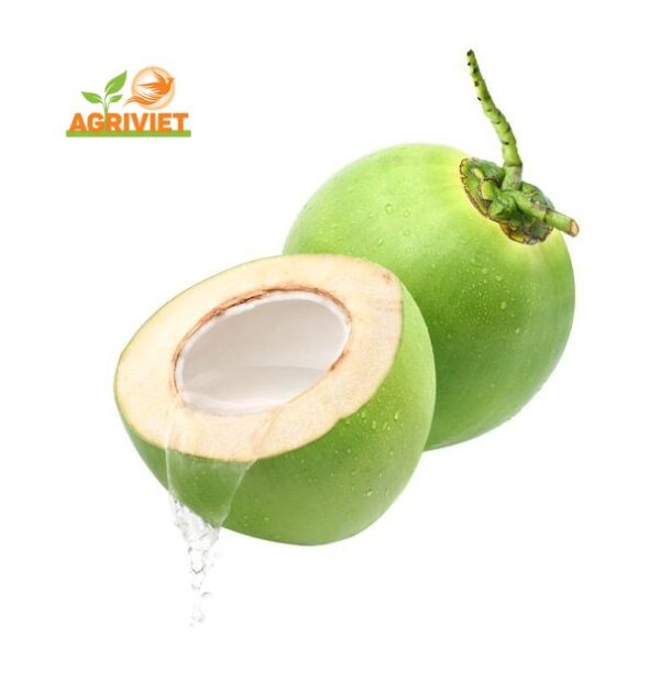 Dừa Non