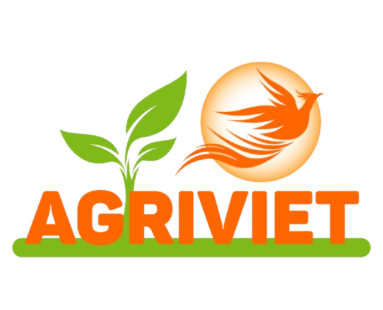 logo-footer