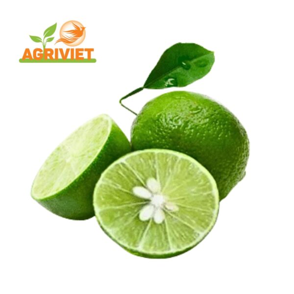 Chanh Có Hạt