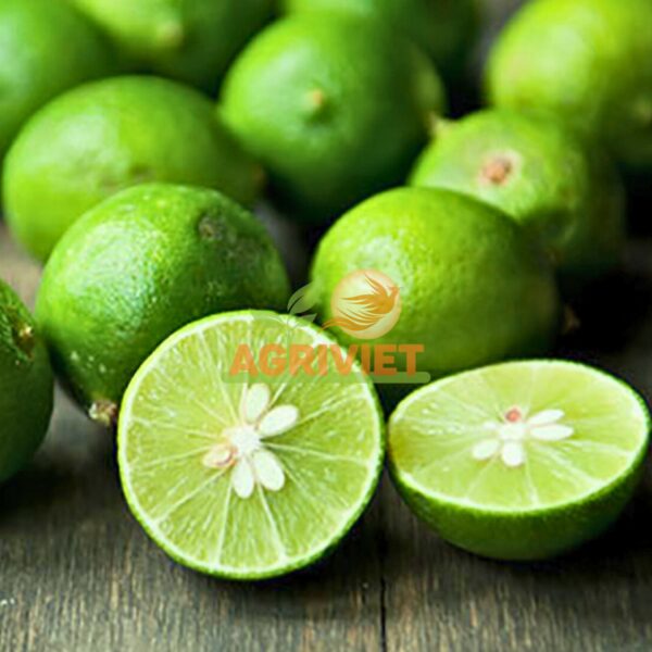 Chanh Có Hạt - Hình ảnh 2