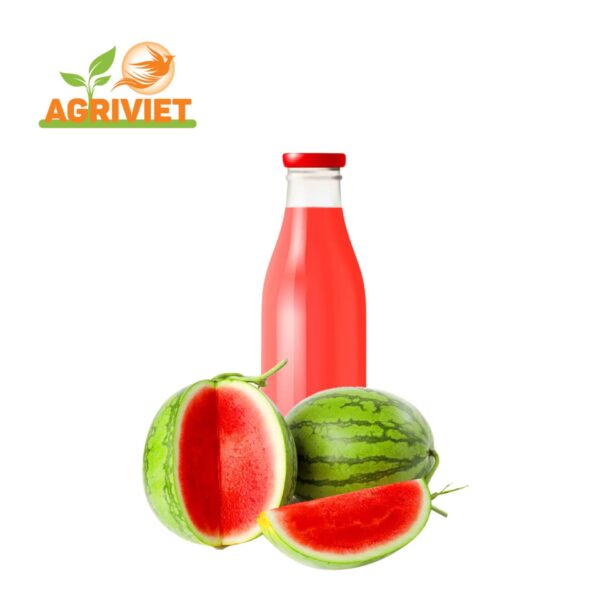 Nước Ép Dưa Hấu