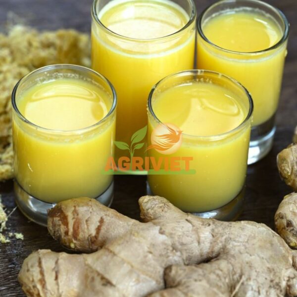 Nước Ép Gừng - Hình ảnh 3