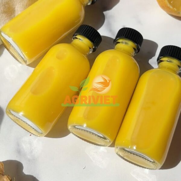 Nước Ép Gừng - Hình ảnh 2