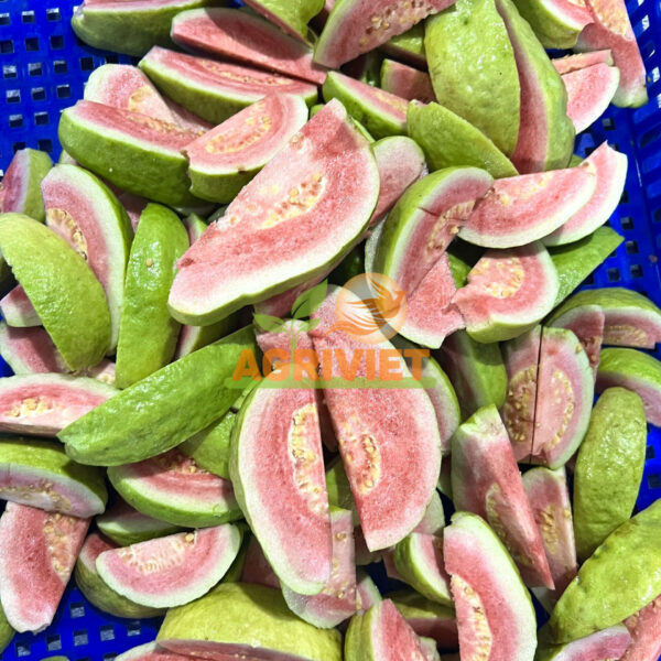 Ổi Ruby Ruột Hồng - Hình ảnh 5