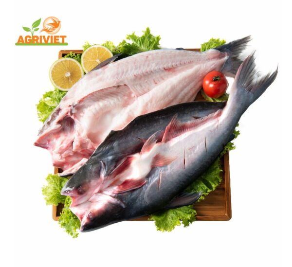 Cá Tra Cắt Cánh Bướm
