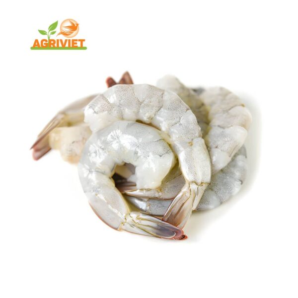 Tôm sống PDTO
