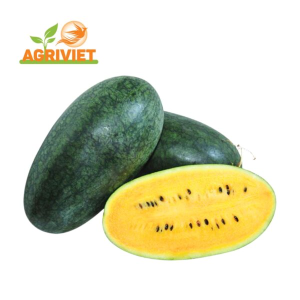 Dưa Hấu Ruột Vàng
