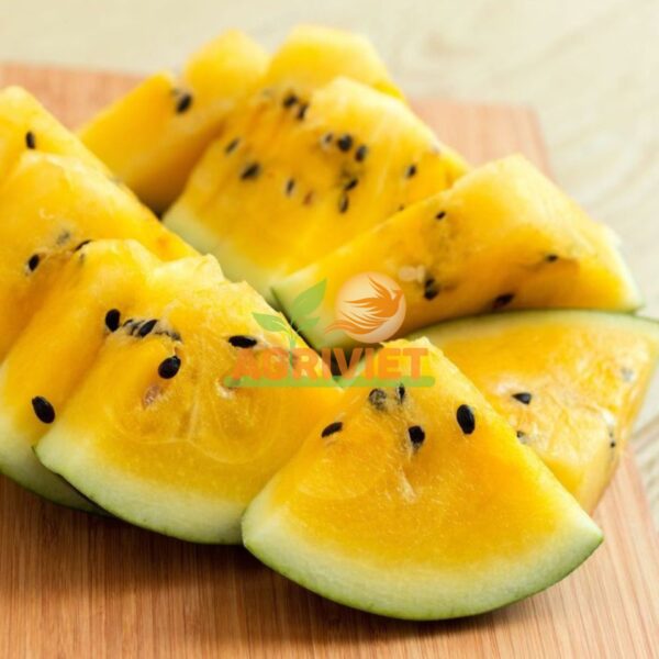 Dưa Hấu Ruột Vàng - Hình ảnh 2