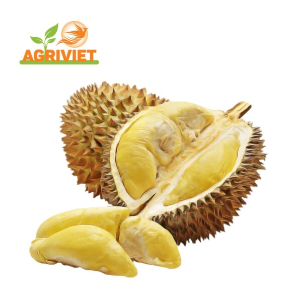 Sầu Riêng